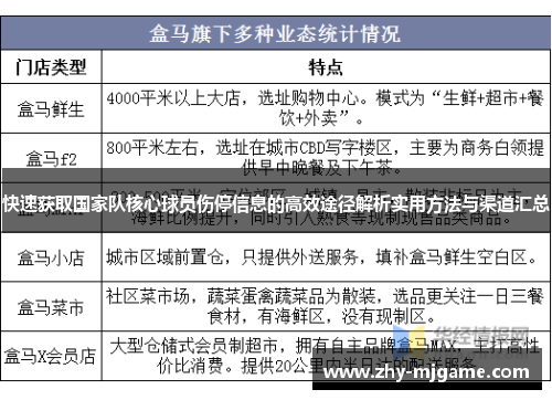 快速获取国家队核心球员伤停信息的高效途径解析实用方法与渠道汇总